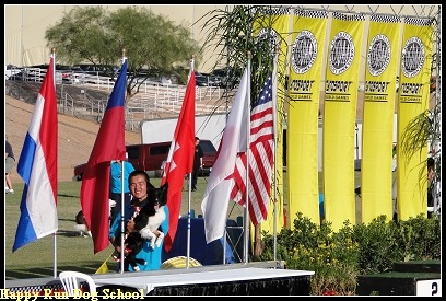 [DSC00799[4].jpg]